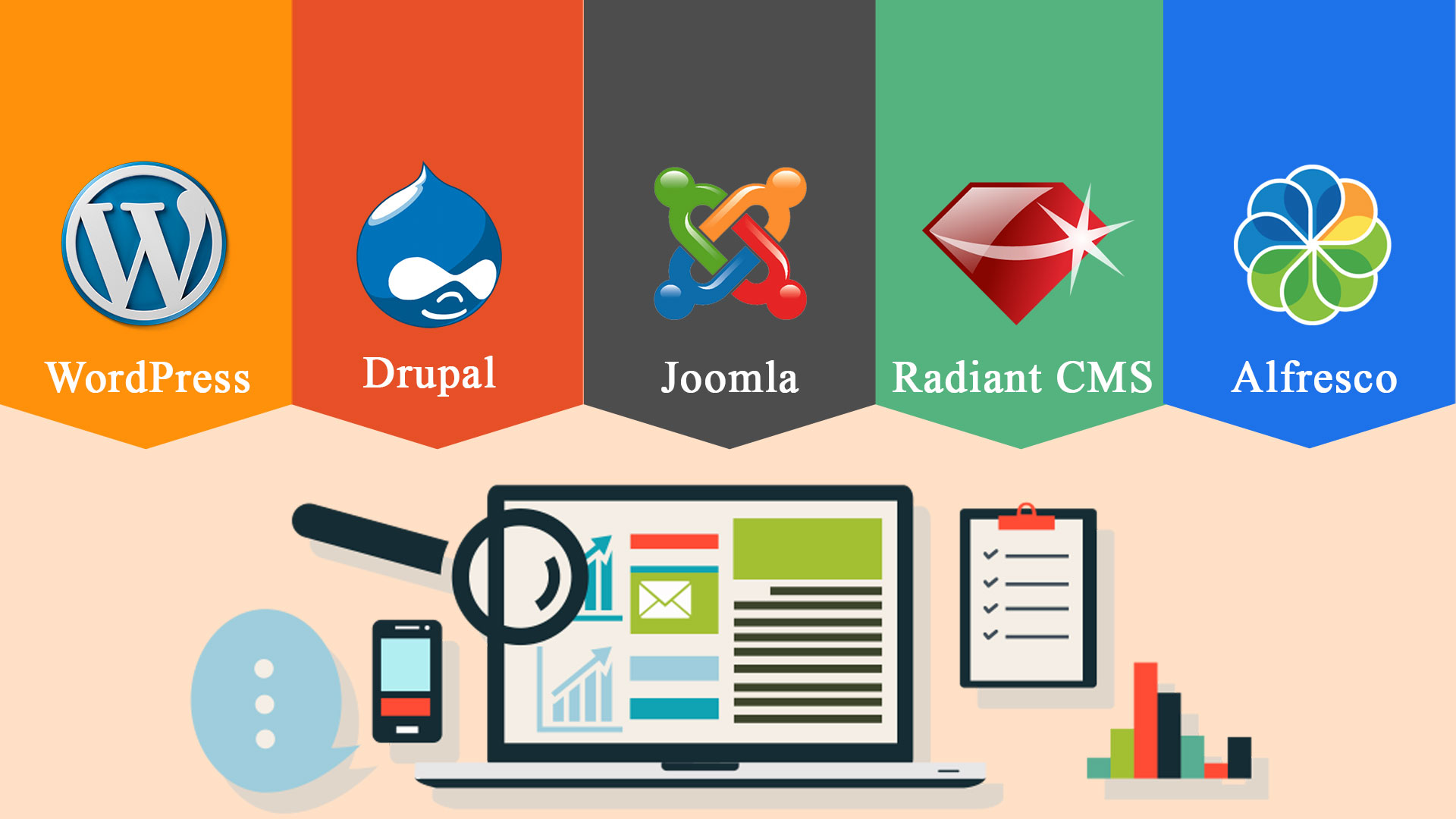 Which is the Best for Business-CMS or Custom Build Website?