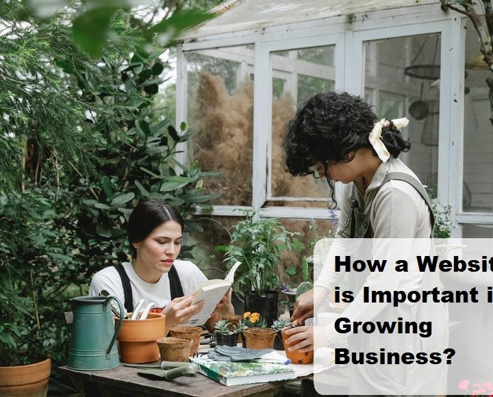 How a Website is Important in Growing Business?