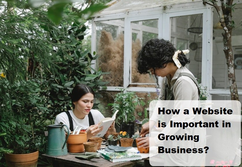 Growing Business