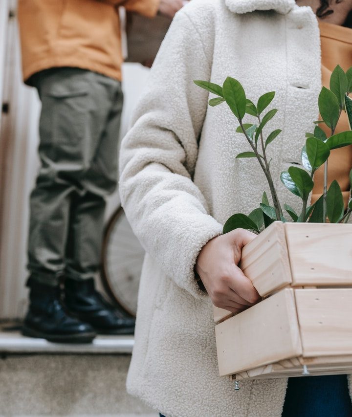 How Best Packers and Movers Shift Plants Hassle Free